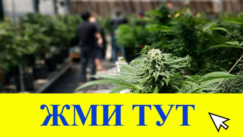 Купить наркотики в Коммунаре